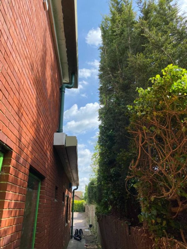 Commercial Tree Care