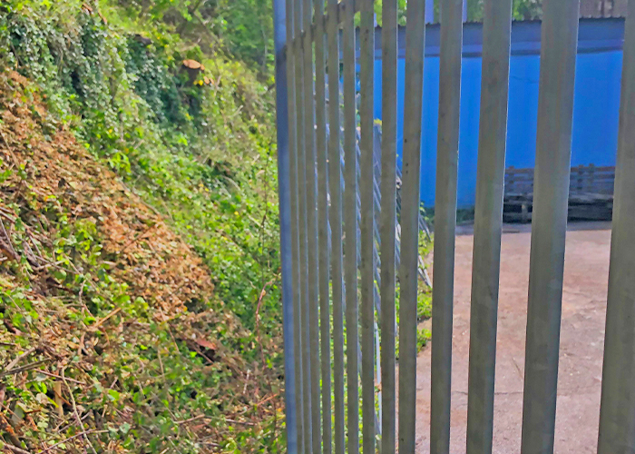 Shrub Clearance Shrub Clearance